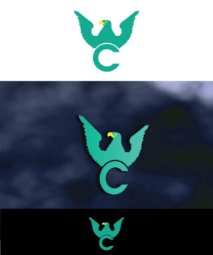 Logo Design by joliau for this project | Design: #9902898