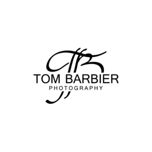 Logo Design by ubaid2792