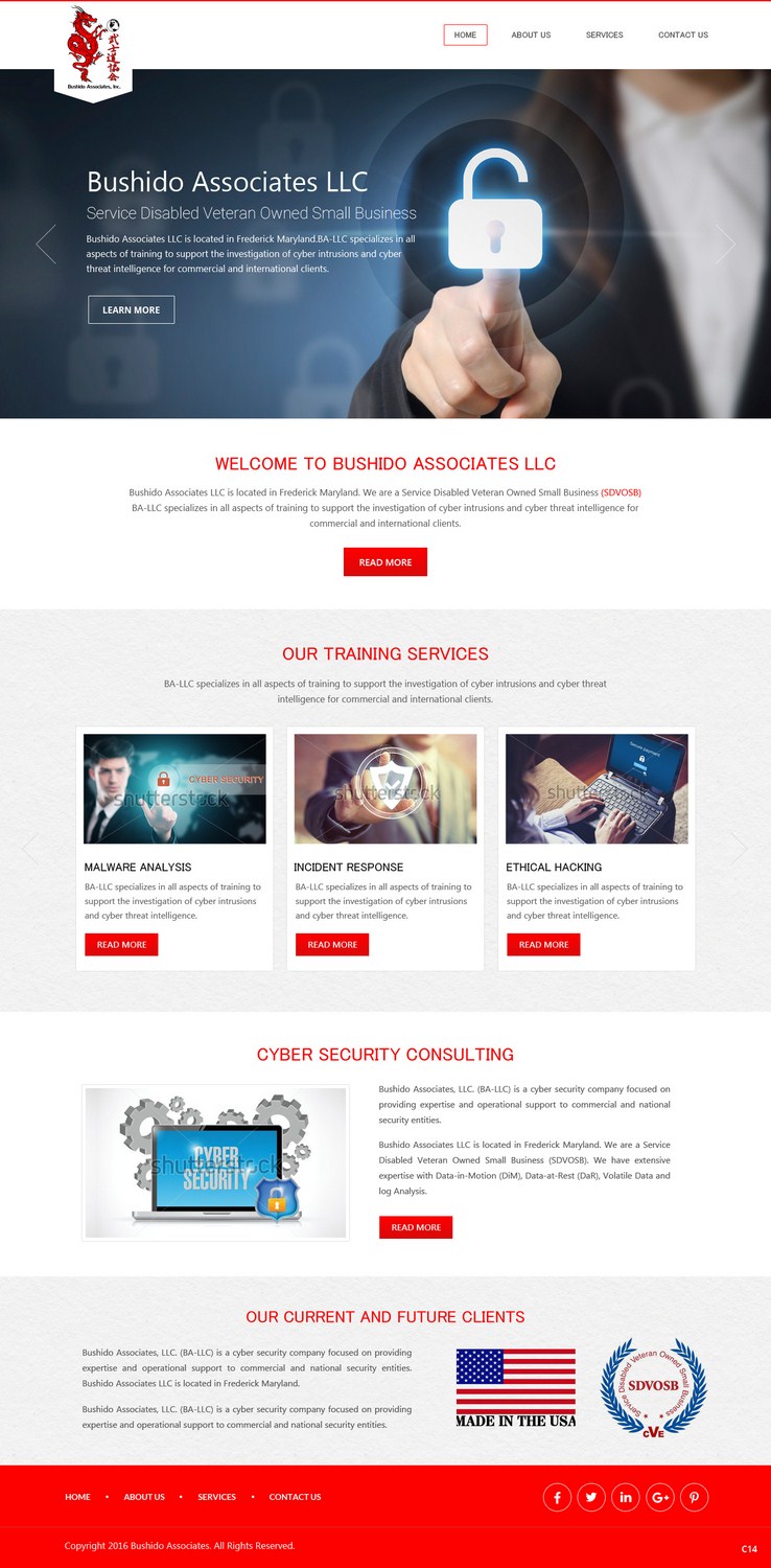 Web Design by pb for Bushido Associates, Inc. | Design #9912788
