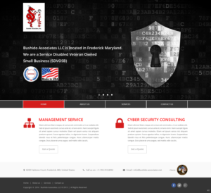 Web Design by pb for Bushido Associates, Inc. | Design: #9912793