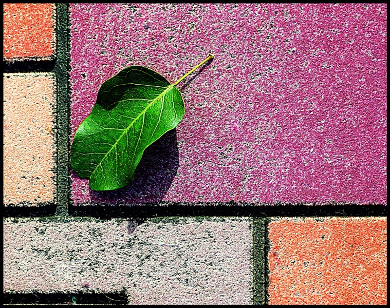 Photography by BradleyJ for DesignCrowd (Community Contests) | Design #9903131