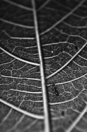 Photography by Neohiro