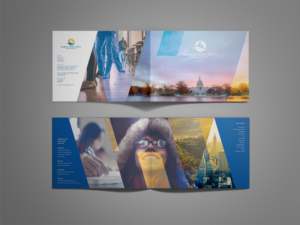 Brochure Design by Endre Koliger for this project | Design: #9926316