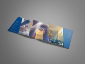 Brochure Design by Endre Koliger for this project | Design: #9926317