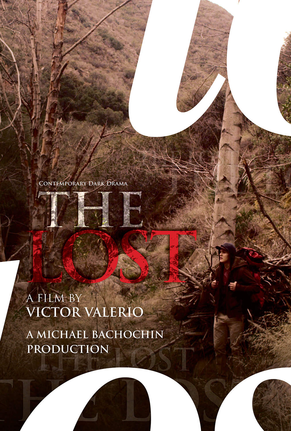 Design de Poster par Pixelon Studio pour ce projet | Design #10296019