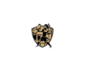Diseño de Logo por crizzyARTz para este proyecto | Diseño: #10141728