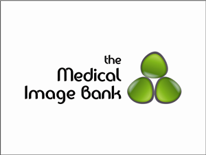 Logo Design by Niv