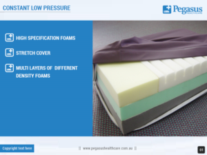 Design de Modèle Word par Best Design Hub pour Pegasus Healthcare | Design : #10141814