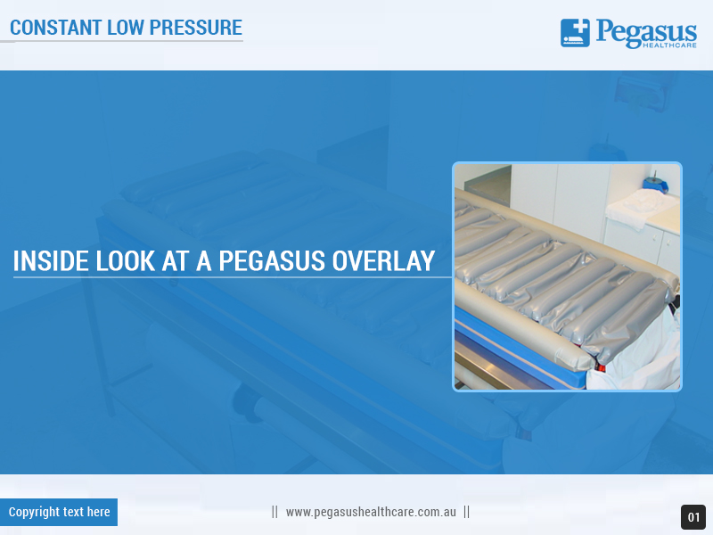 Word Template Design by Best Design Hub for Pegasus Healthcare | Design #10141853