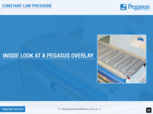 Design de Modèle Word par Best Design Hub pour Pegasus Healthcare | Design : #10141853