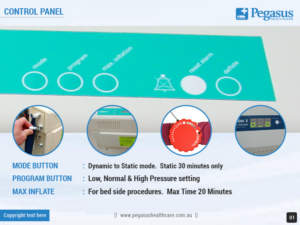 Design de Modèle Word par Best Design Hub pour Pegasus Healthcare | Design : #10141856