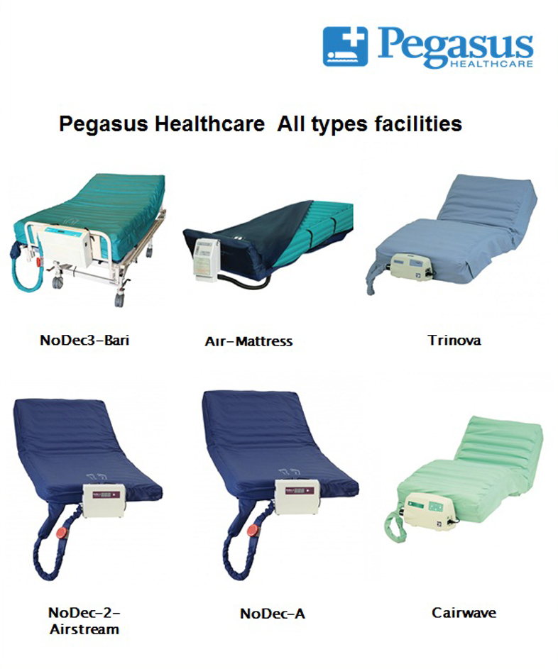 Design de Modèle Word par f9design12 pour Pegasus Healthcare | Design #10191043