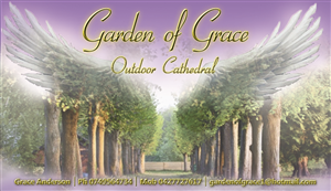 Business Card Design by JessMere