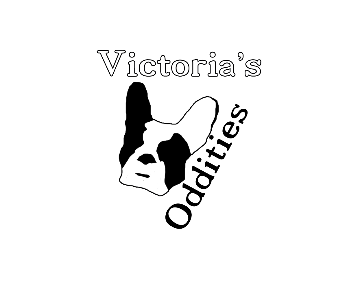 Diseño de Logo por NyteRade para este proyecto | Diseño #10117617