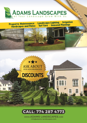 Flyer Design by Brian Ellis for Adams Landscapes, LLC | Design: #9953298