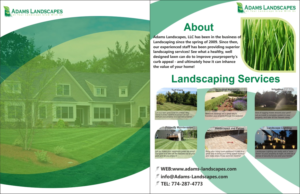 Flyer Design by DimitriyD