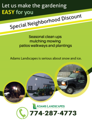 Flyer Design by anshuman1995