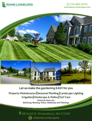 Flyer Design by anshuman1995 for Adams Landscapes, LLC | Design #9993127