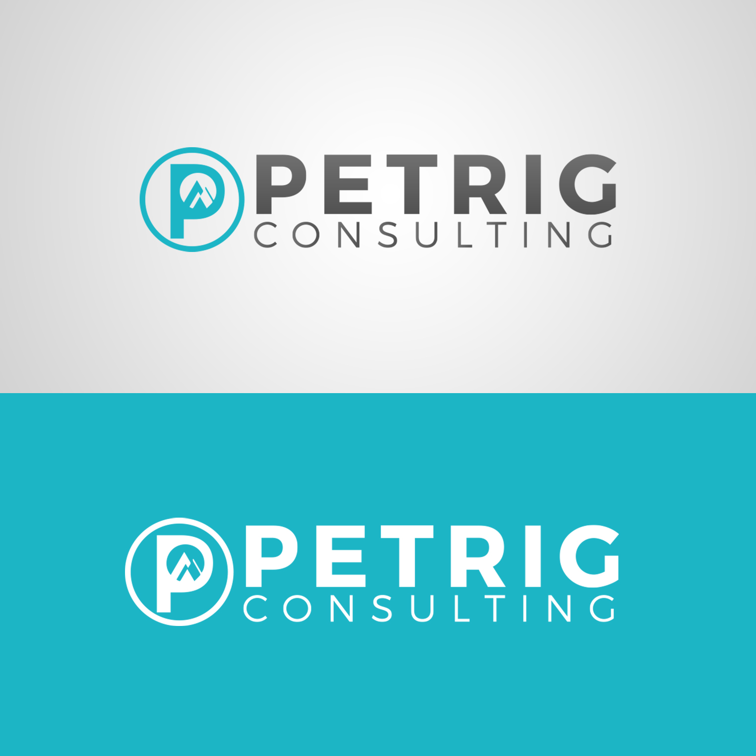 Logo Design by vp.salim for this project | Design #9979626