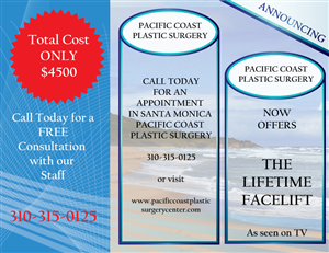 Brochure Design by TedAtkinson for Web Moxie | Design: #2137273