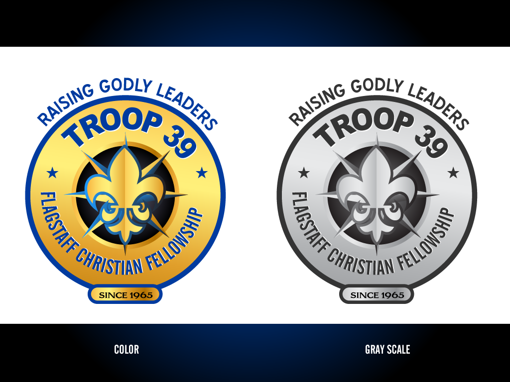 Logo Design by designgreen for Star Web Management | Design #2192599