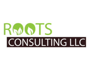 Logo Design by Elite Fox