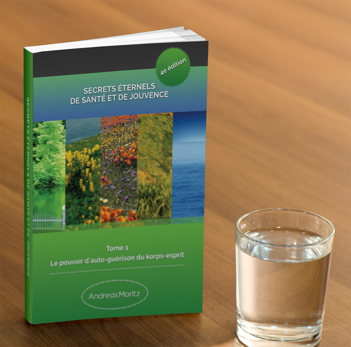 Book Cover Design by Matrix5 Creative for Ahmara | Design #10199081