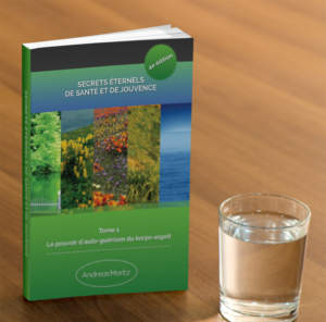 Book Cover Design by Matrix5 Creative for Ahmara | Design: #10199081