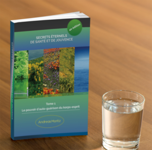 Book Cover Design by Matrix5 Creative for Ahmara | Design: #10199622