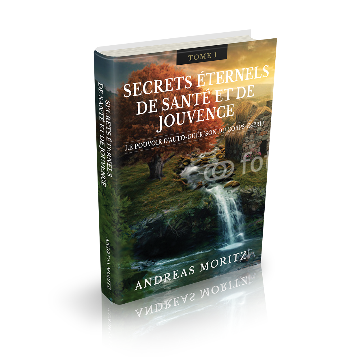 Book Cover Design by popdesign¤ for Ahmara | Design #10388748