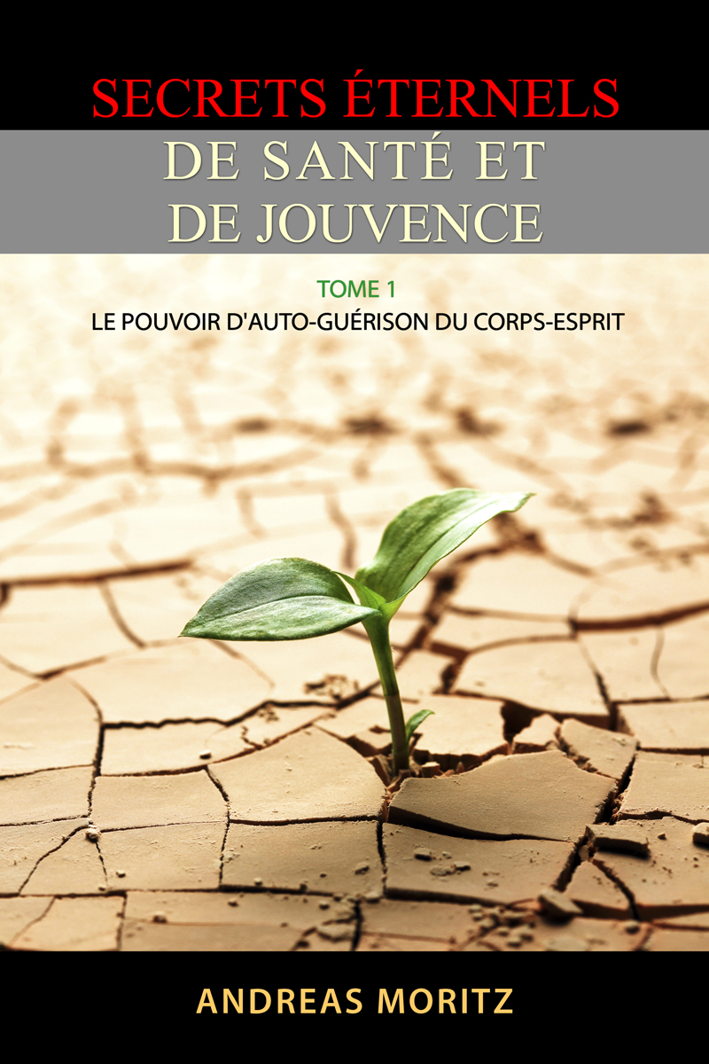 Book Cover Design by illuminati-design for Ahmara | Design #10189235