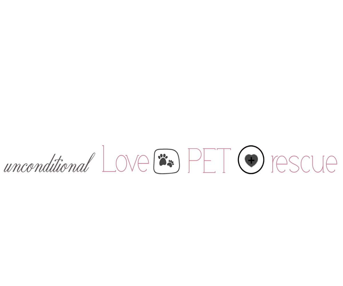 Diseño de Logo por open_plan para este proyecto | Diseño #9927543