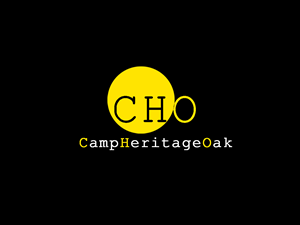 Logo Design by RC rahul