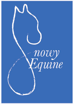 Logo Design by fralves27