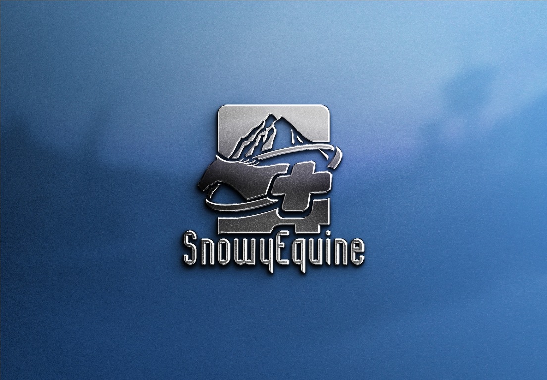 Logo Design by Miroslav Vladimirovich for this project | Design #2162385