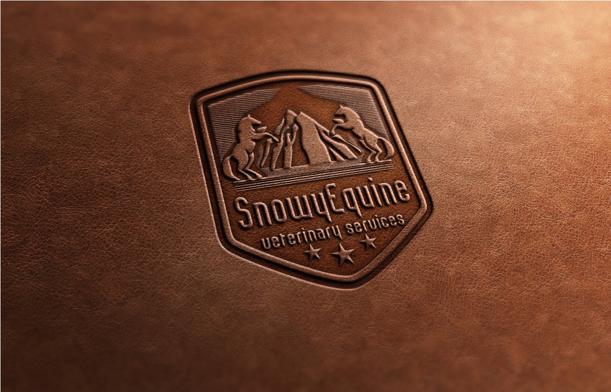 Logo Design by Miroslav Vladimirovich for this project | Design #2162386
