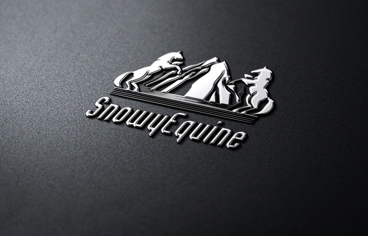 Logo Design by Miroslav Vladimirovich for this project | Design #2162387