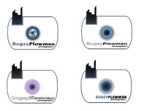 Logo Design by Spike