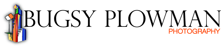 Logo Design by Gekko Web Design for this project | Design #439763