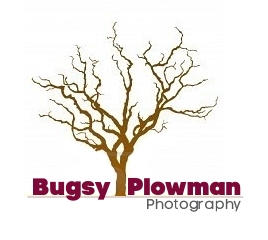 Logo Design by Modine Designs for this project | Design #434415