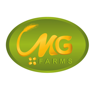 Logo Design by ichie