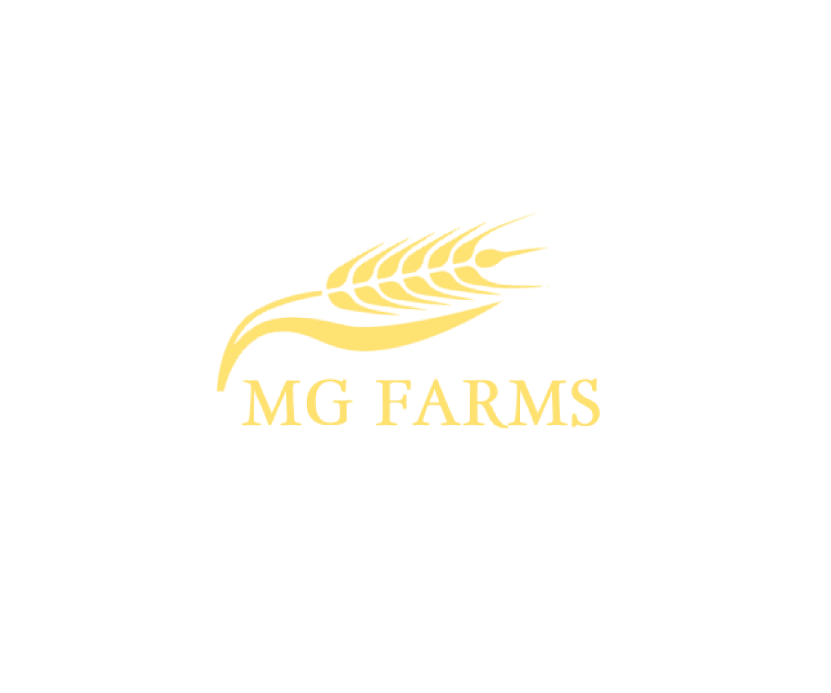 Logo Design by sparkley for this project | Design #2139881