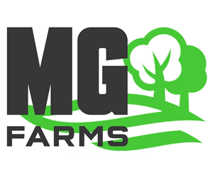 Logo-Design von EIP Graphics für dieses Projekt | Design: #2139893