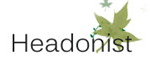 Logo Design by Paul Spence Web Design and Development Solutions for Headonist | Design #17989