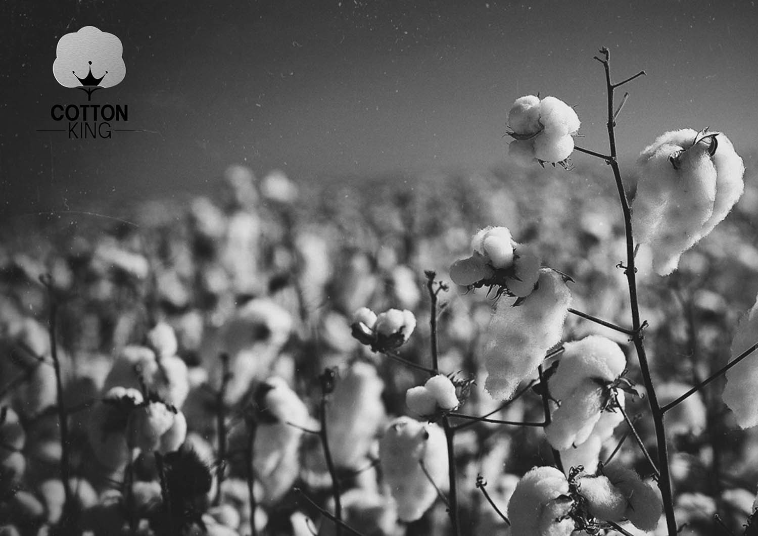 Logo Design by P R O  D E S I G N for Fixstation Pty LTD | Design #9947297