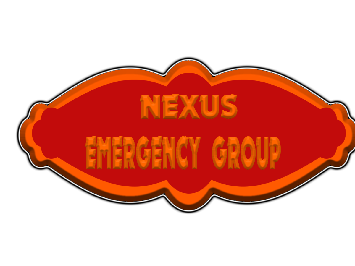 Logo Design by IamArtness for The Bonanno Group, Inc. | Design #9941060