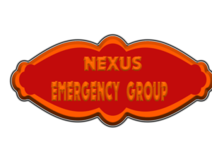 Logo Design by IamArtness for The Bonanno Group, Inc. | Design: #9941060