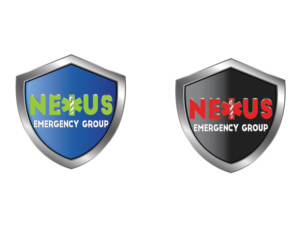 Logo Design by SiliaD for The Bonanno Group, Inc. | Design: #10163843