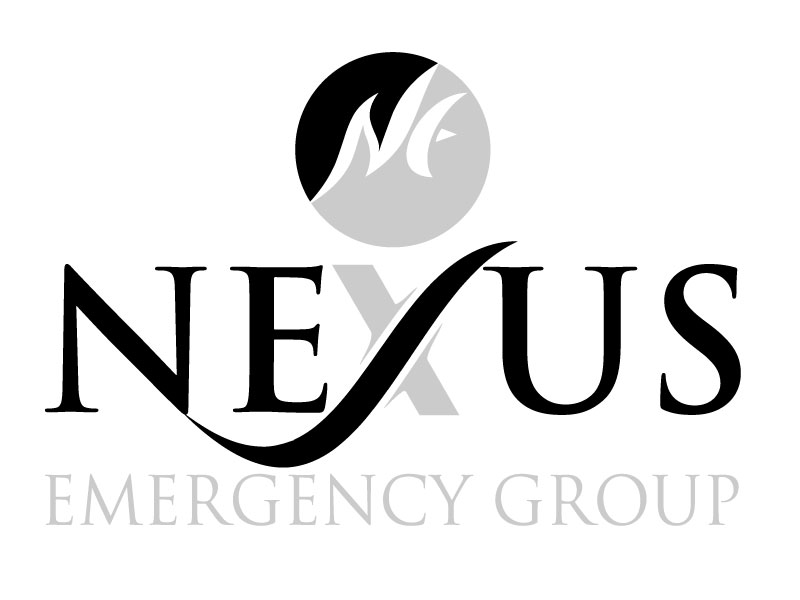 Logo Design by Dulavai for The Bonanno Group, Inc. | Design #9974711