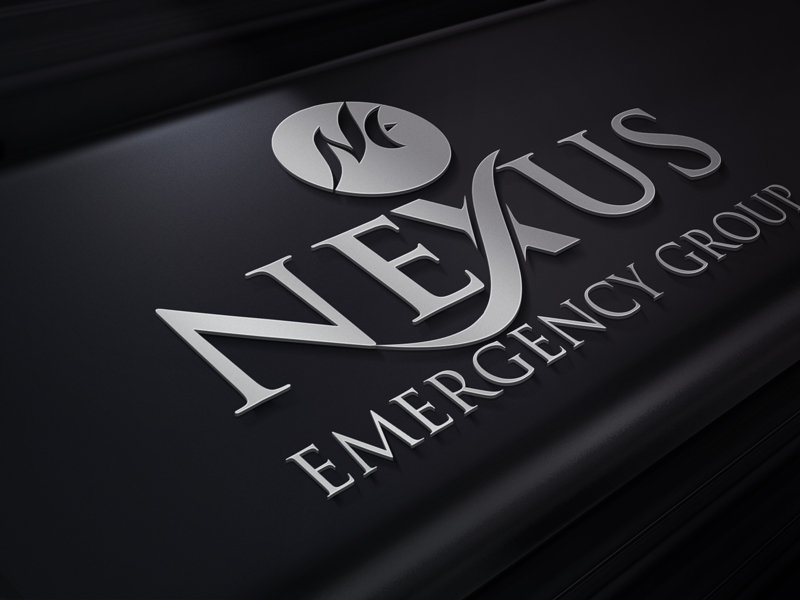 Logo Design by Dulavai for The Bonanno Group, Inc. | Design #9974715